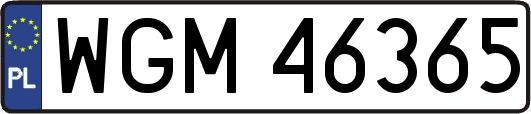 WGM46365