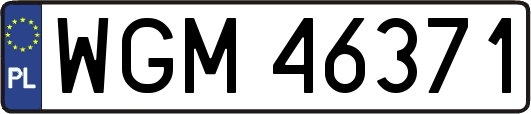 WGM46371