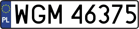 WGM46375