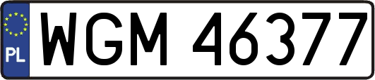 WGM46377