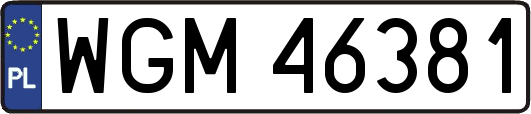 WGM46381