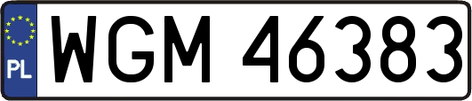 WGM46383