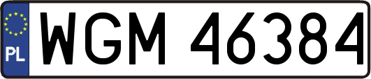 WGM46384