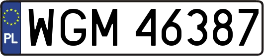 WGM46387