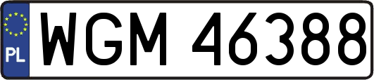 WGM46388