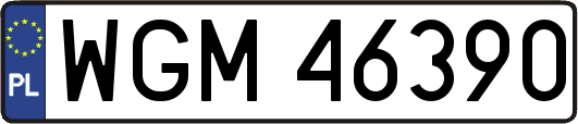 WGM46390