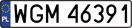 WGM46391