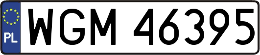 WGM46395