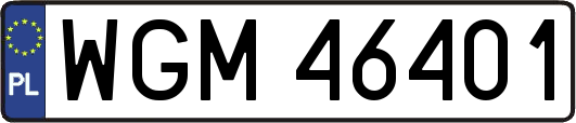 WGM46401