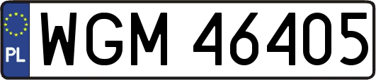 WGM46405