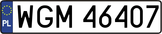 WGM46407