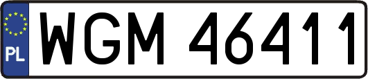 WGM46411