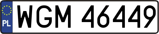WGM46449