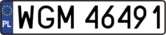 WGM46491