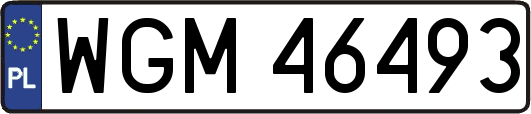 WGM46493