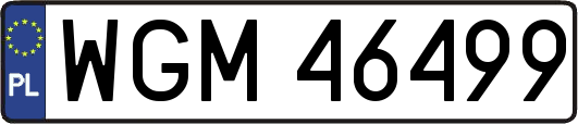 WGM46499