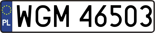 WGM46503