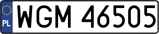 WGM46505