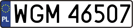 WGM46507