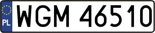 WGM46510