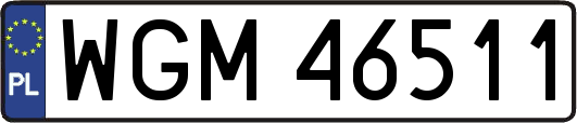 WGM46511