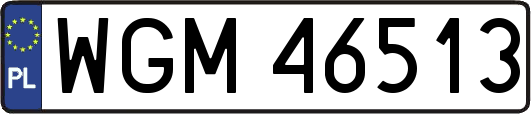 WGM46513