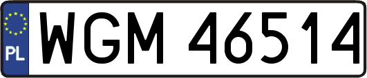 WGM46514