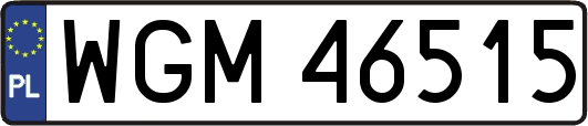 WGM46515