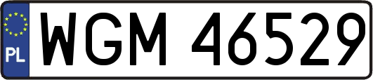 WGM46529