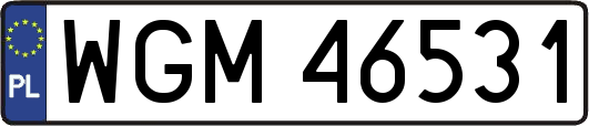 WGM46531