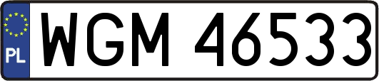 WGM46533