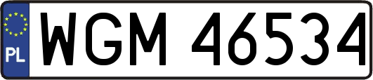 WGM46534