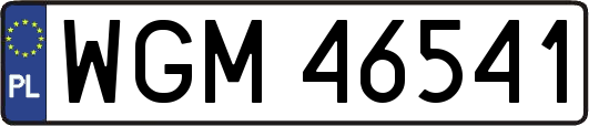 WGM46541