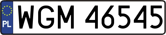 WGM46545