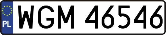 WGM46546