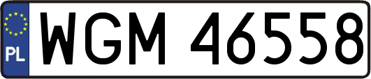 WGM46558