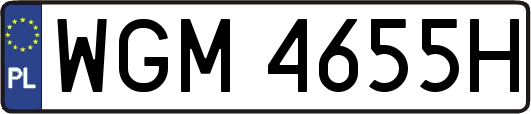 WGM4655H