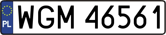 WGM46561