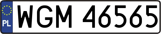 WGM46565