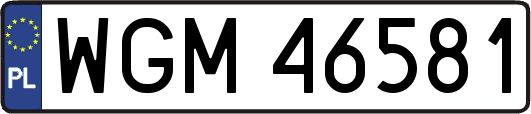 WGM46581
