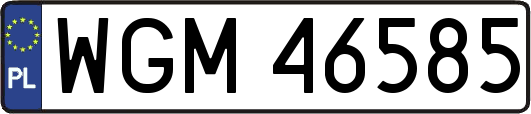 WGM46585
