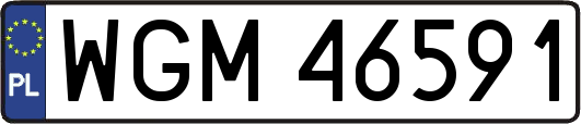 WGM46591