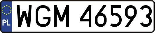 WGM46593