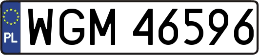 WGM46596