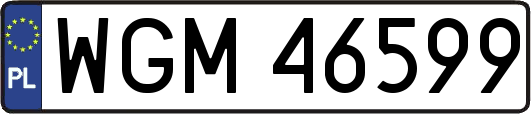 WGM46599