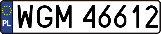 WGM46612