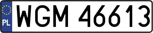 WGM46613