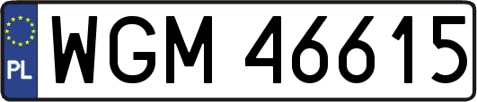 WGM46615