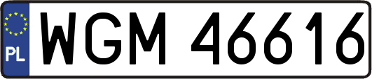 WGM46616