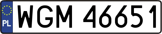 WGM46651